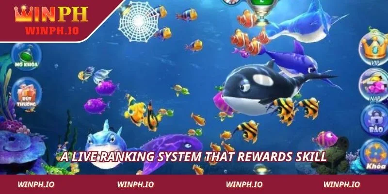 A live ranking system that rewards skill