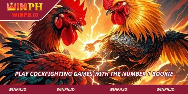 Play cockfighting games with the number 1 bookie