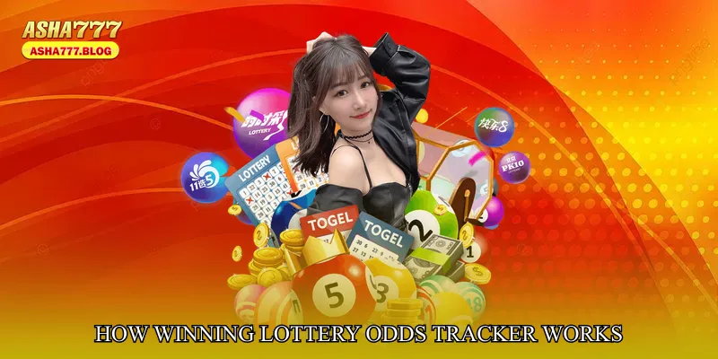 How Winning Lottery Odds Tracker Works