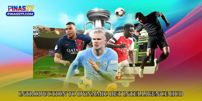 Introduction to Dynamic Bet Intelligence Hub