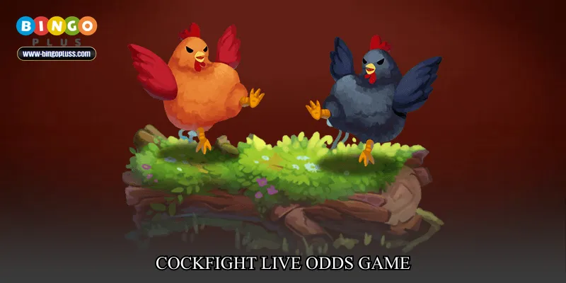 cockfight live odds game