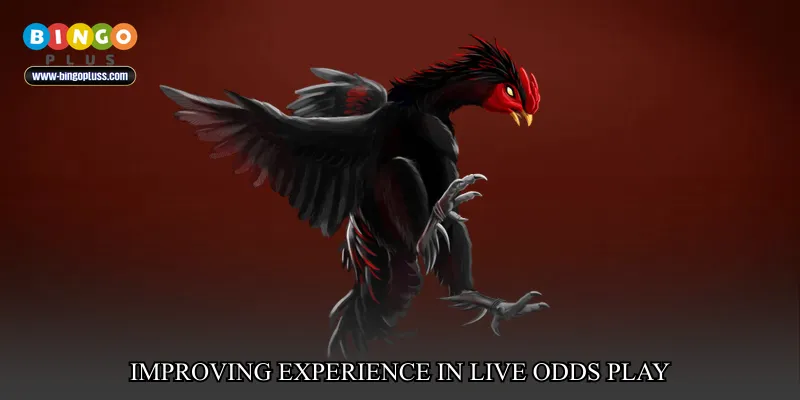 Improving Experience in Live Odds Play