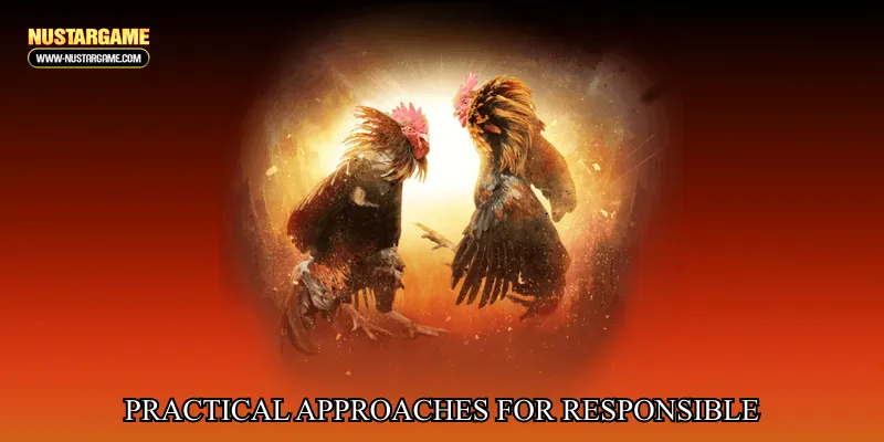 Practical Approaches for Responsible and Enjoyable Participation