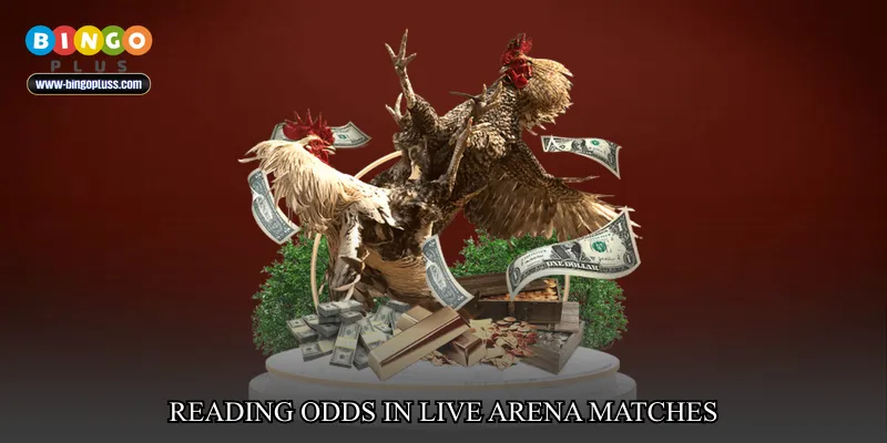 Reading Odds in Live Arena Matches