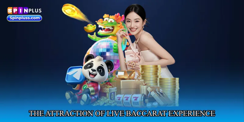 The Attraction of Live Baccarat Experience