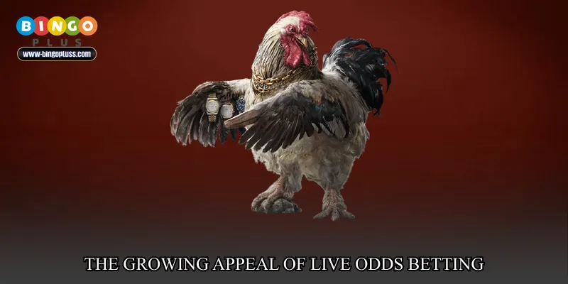 The Growing Appeal of Live Odds Betting