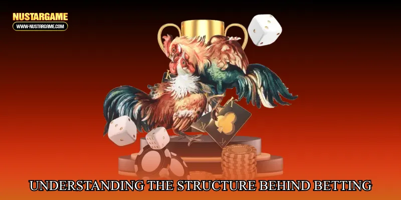 Understanding the Structure Behind Modern Betting Systems