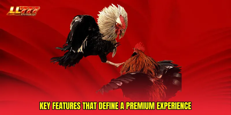 Key Features That Define a Premium Experience